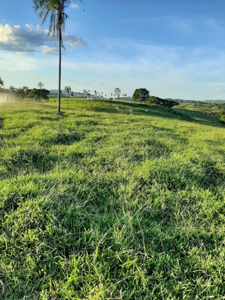 Fazenda em Itapaci/Goiás — Ref DS6UV6 — Imagem 1