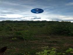 #1531 - Fazenda para Venda em Crixás - GO