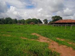 Fazenda para Venda em Goiás - 5