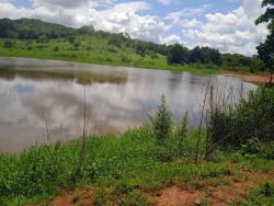 #1559 - Fazenda para Venda em Sanclerlândia - GO