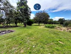 #1587 - Fazenda para Venda em Vila Propício - GO