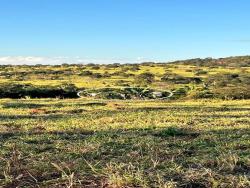 #1638 - Fazenda para Venda em Iporá - GO