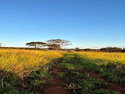 #1638 - Fazenda para Venda em Iporá - GO