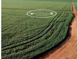 #1660 - Fazenda para Venda em Primavera do Leste - MT