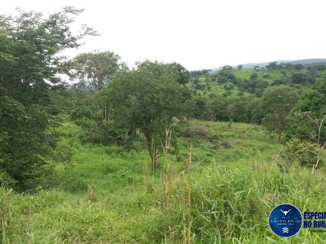 Fazenda para Venda em Faina - 4