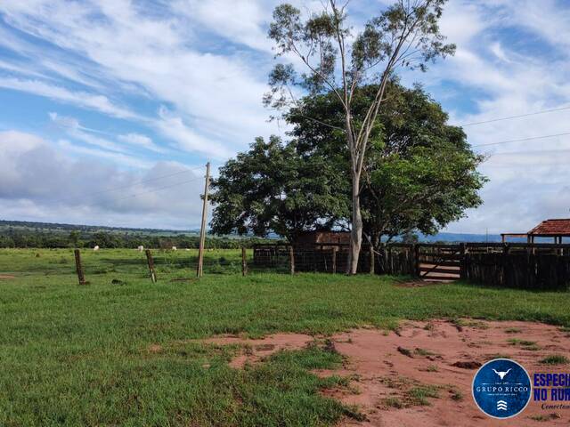 Fazenda para Venda em Itarumã - 4