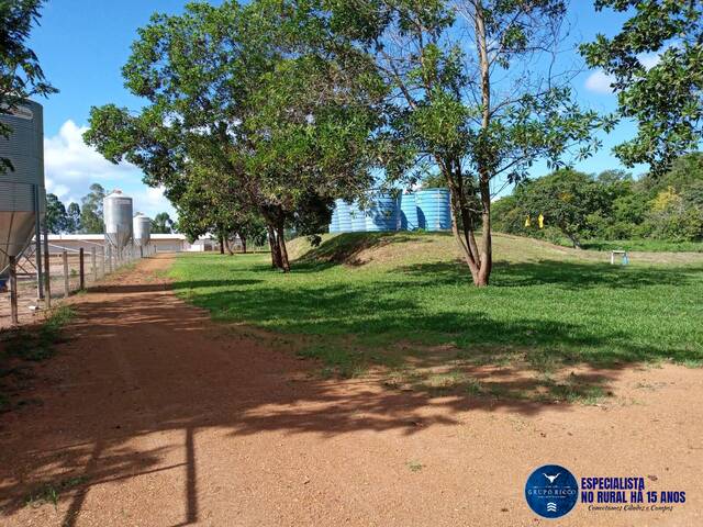 Venda em zona rural - Mineiros