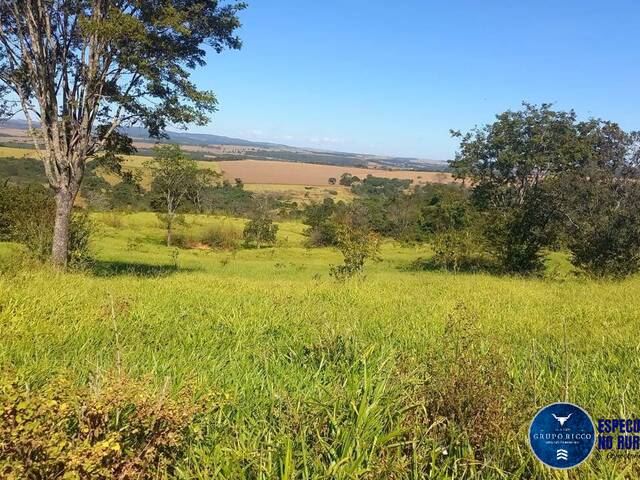 #3038 - Fazenda para Venda em Itaberaí - GO