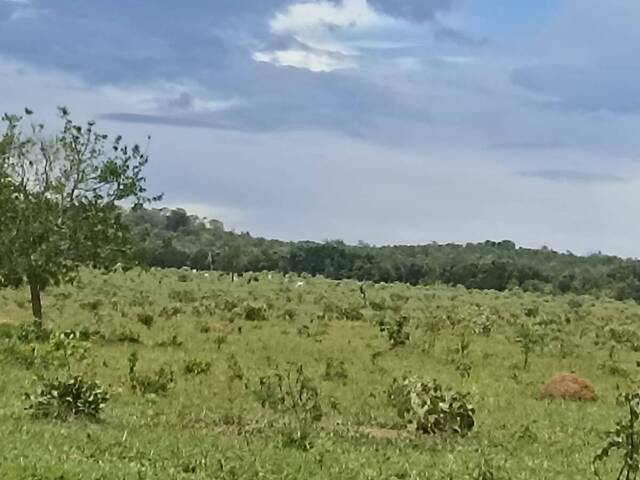 Fazenda para Venda em Água Fria de Goiás - 5