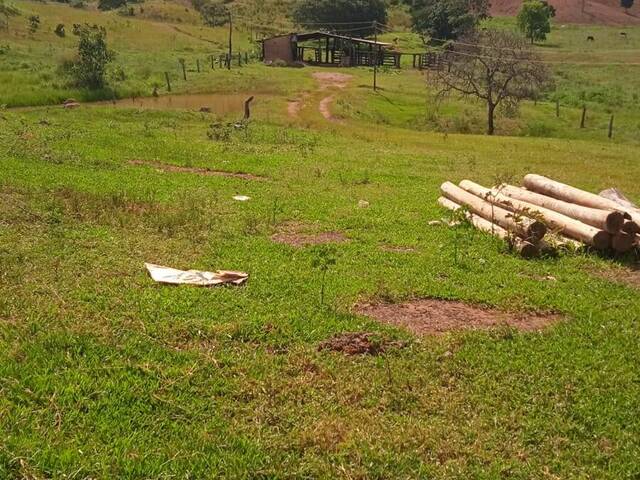 #1129 - Fazenda para Venda em Fazenda Nova - GO