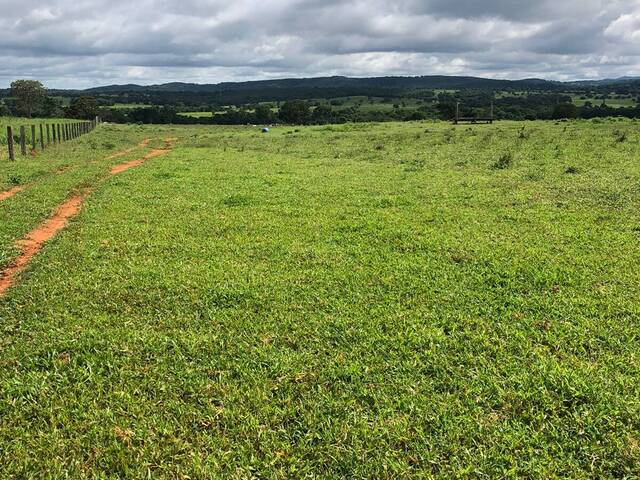 Fazenda para Venda em Fazenda Nova - 4