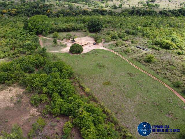 #944 - Fazenda para Venda em Palmeirante - TO