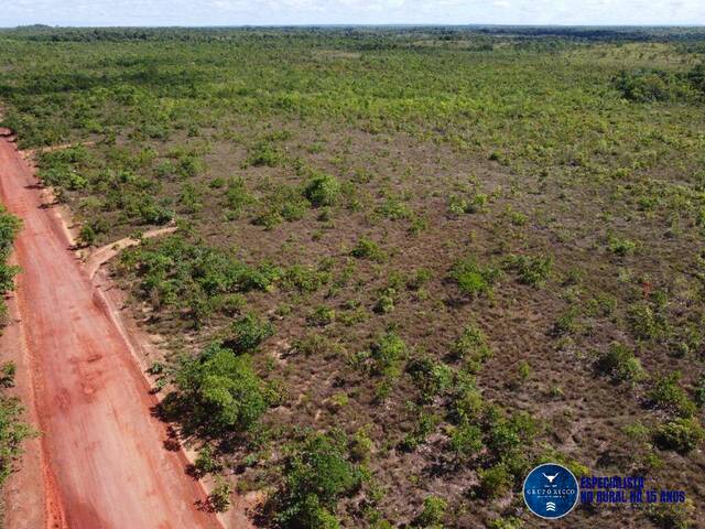 #944 - Fazenda para Venda em Palmeirante - TO