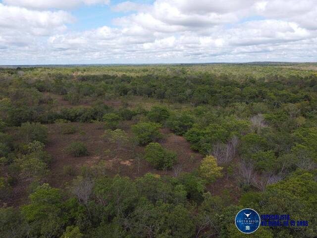 Fazenda para Venda em Palmeirante - 4