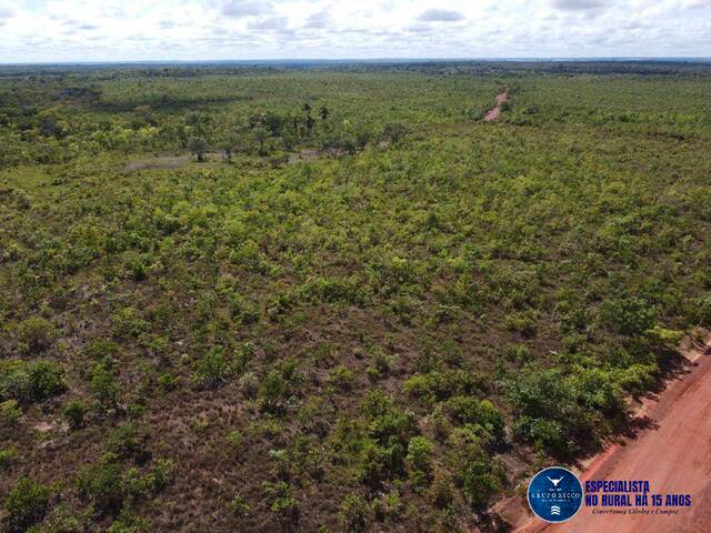 Fazenda para Venda em Palmeirante - 5