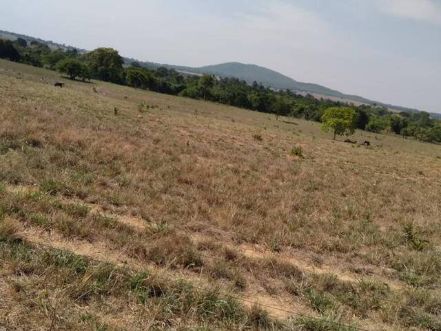 Fazenda para Venda em Montes Claros de Goiás - 5