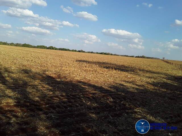 #764 - Chácara para Venda em Santa Helena de Goiás - GO