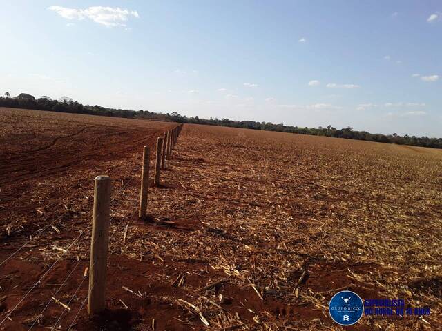 #764 - Chácara para Venda em Santa Helena de Goiás - GO