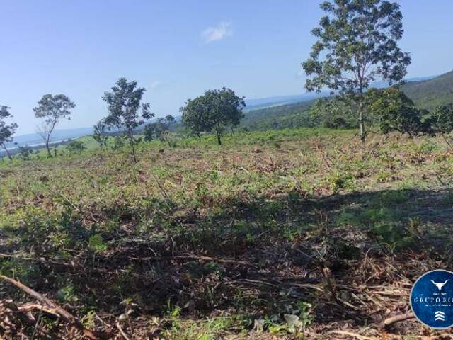 Fazenda para Venda em Uruaçu - 5