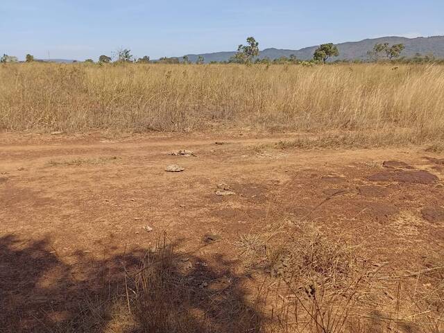 #965 - Fazenda para Venda em Jaupaci - GO
