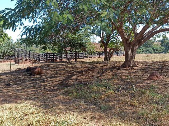 #965 - Fazenda para Venda em Jaupaci - GO