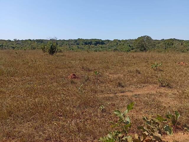 Fazenda para Venda em Jaupaci - 4