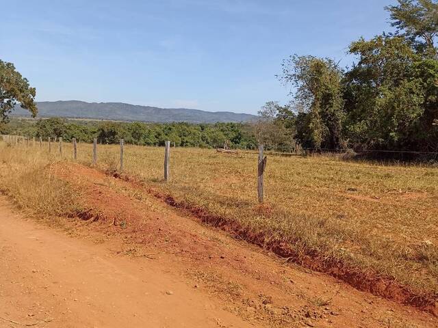 Fazenda para Venda em Jaupaci - 5