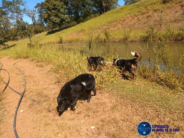 Venda em zona rural - Ivolândia