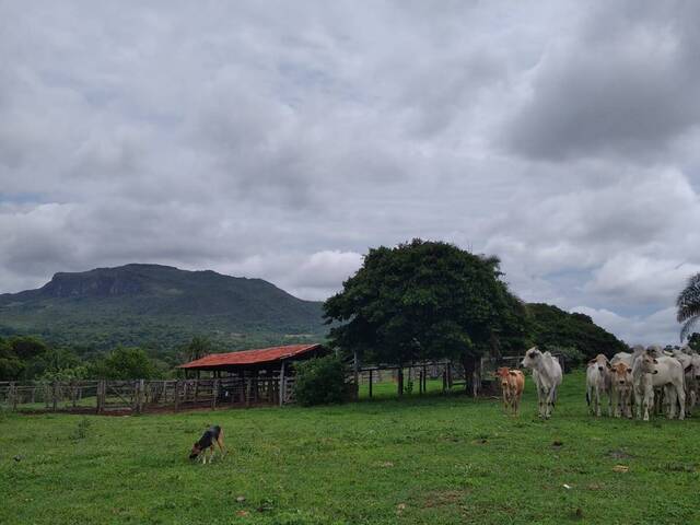 Venda em zona rural - Sanclerlândia