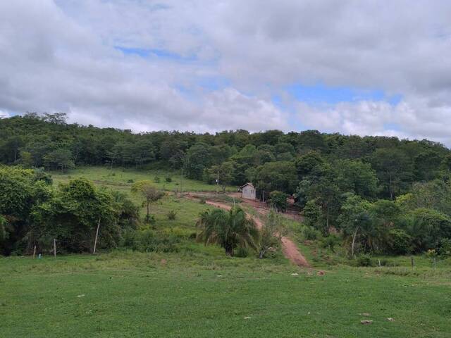 #1097 - Fazenda para Venda em Sanclerlândia - GO