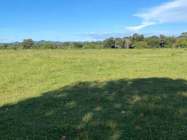 #1098 - Fazenda para Venda em Crixás - GO
