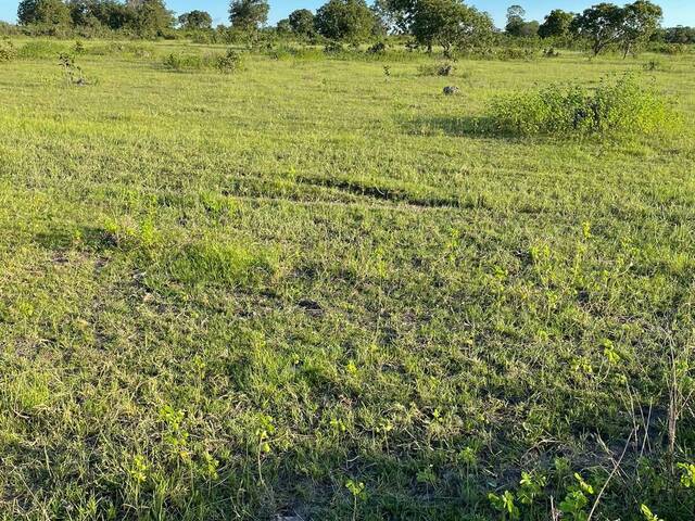 Fazenda para Venda em Crixás - 5