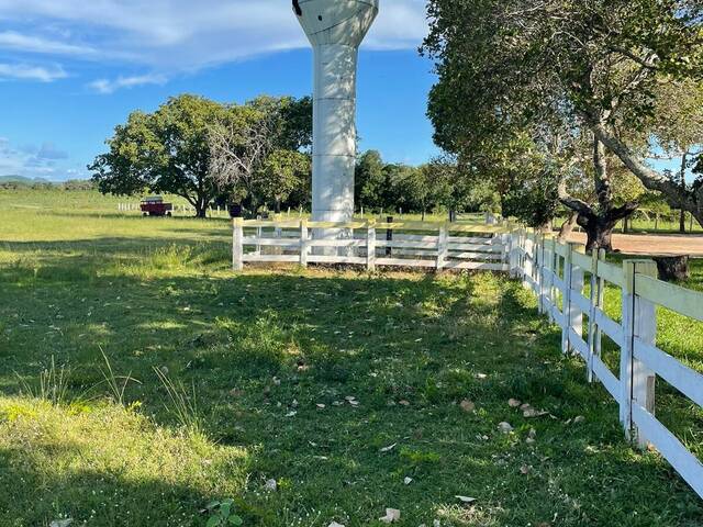 #1098 - Fazenda para Venda em Crixás - GO