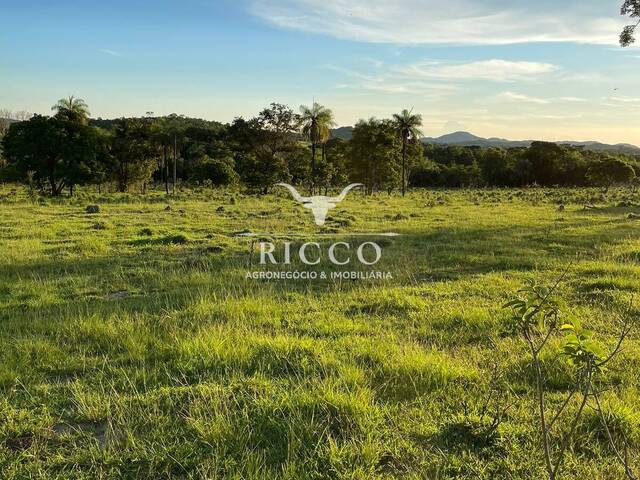 Venda em rural - Crixás