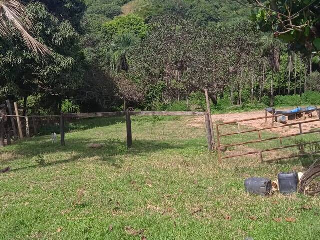 Fazenda para Venda em Ivolândia - 5