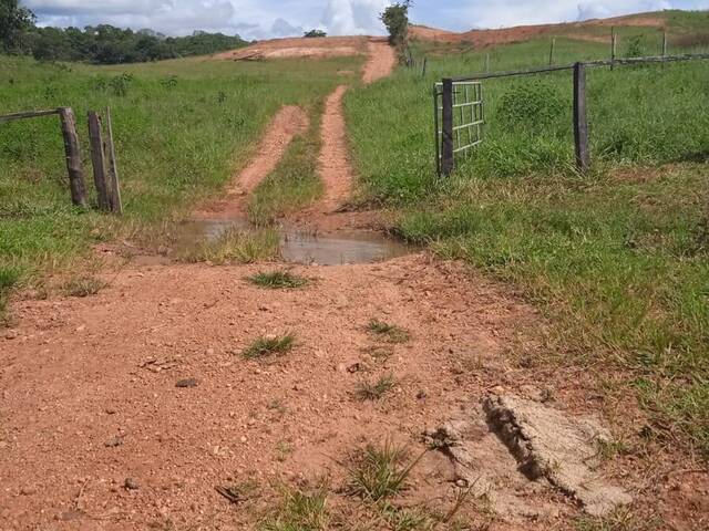 #1130 - Fazenda para Venda em Ivolândia - GO