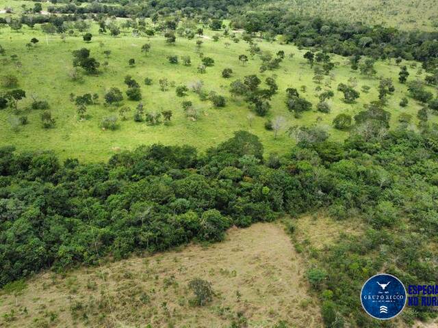 #1263 - Fazenda para Venda em Alexânia - GO
