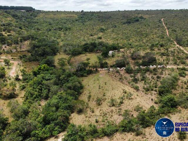 #1263 - Fazenda para Venda em Alexânia - GO