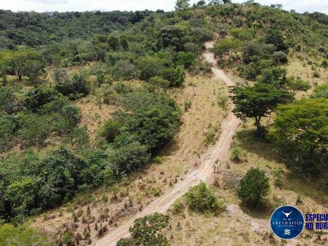 Venda em ZONA RURAL - Alexânia