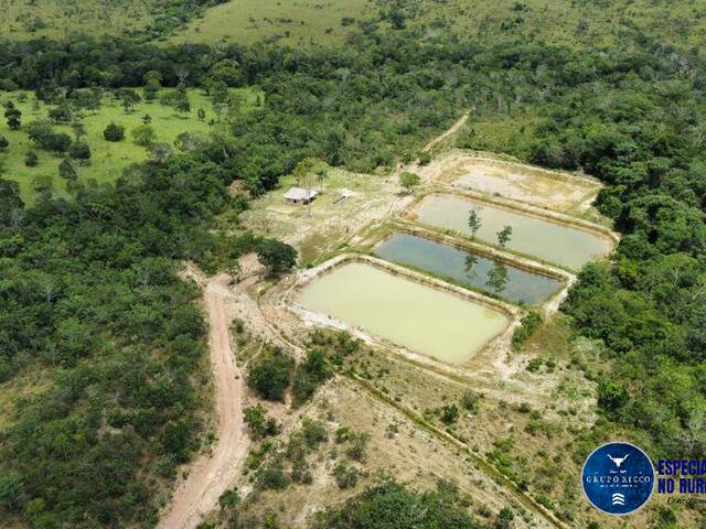 #1263 - Fazenda para Venda em Alexânia - GO