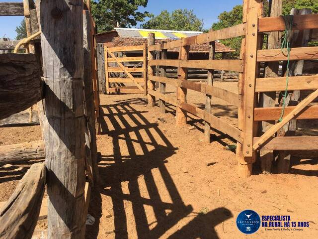 #1220 - Fazenda para Venda em Fazenda Nova - GO
