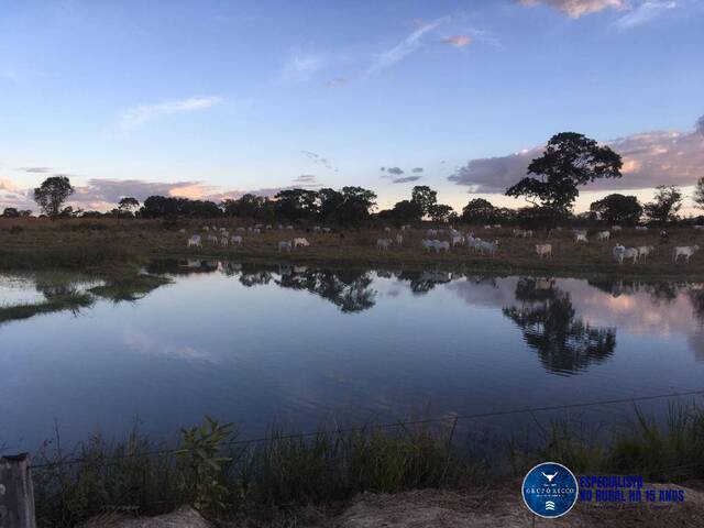 #1220 - Fazenda para Venda em Fazenda Nova - GO