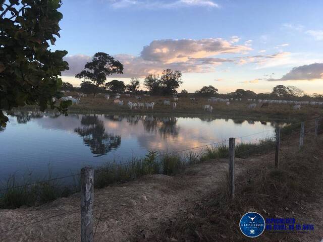#1220 - Fazenda para Venda em Fazenda Nova - GO
