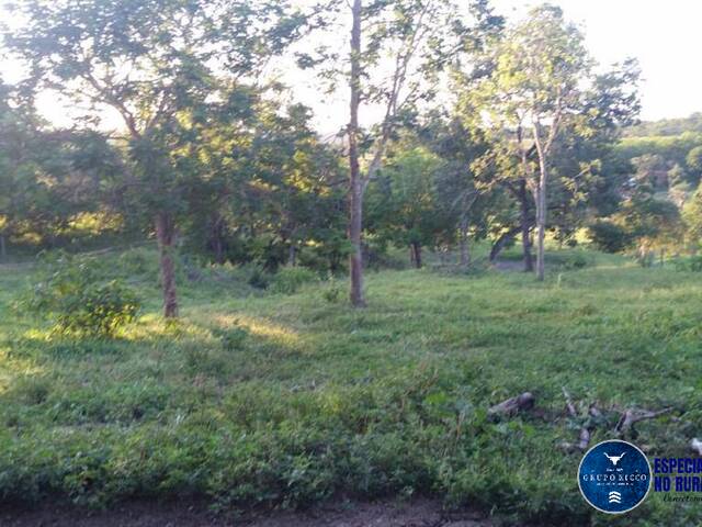 Chácara para Venda em Santa Cruz de Goiás - 5