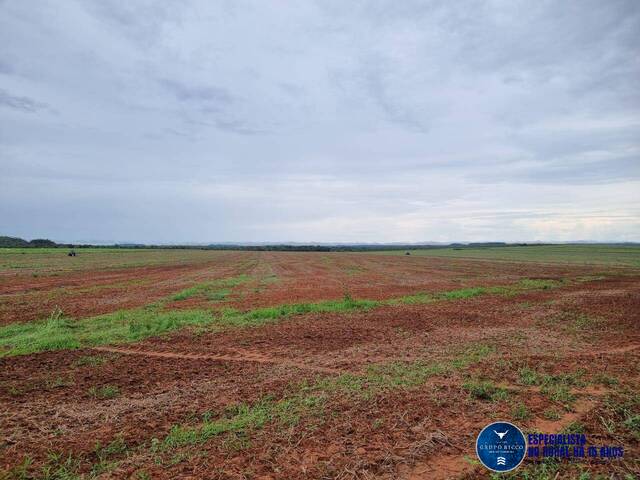Fazenda para Venda em Santa Maria do Tocantins - 4