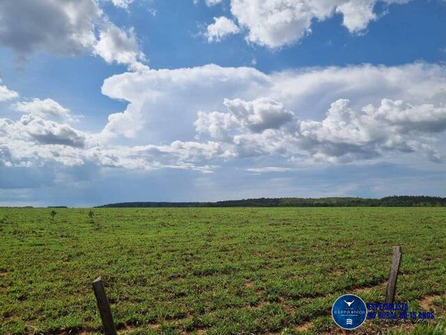 Fazenda para Venda em Santa Maria do Tocantins - 5