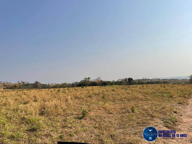 Venda em zona rural - Matrinchã