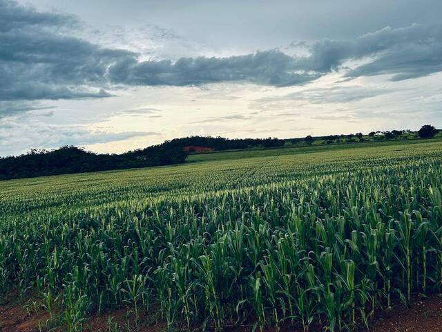 Venda em zona rural - Araguaína