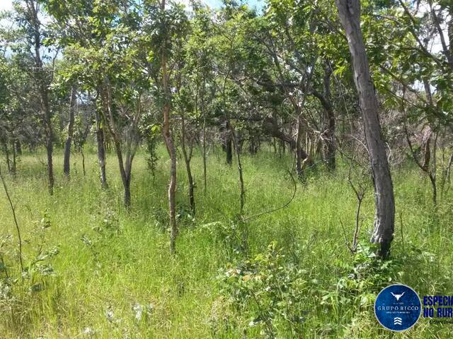 #3133 - Fazenda para Venda em Arraias - TO