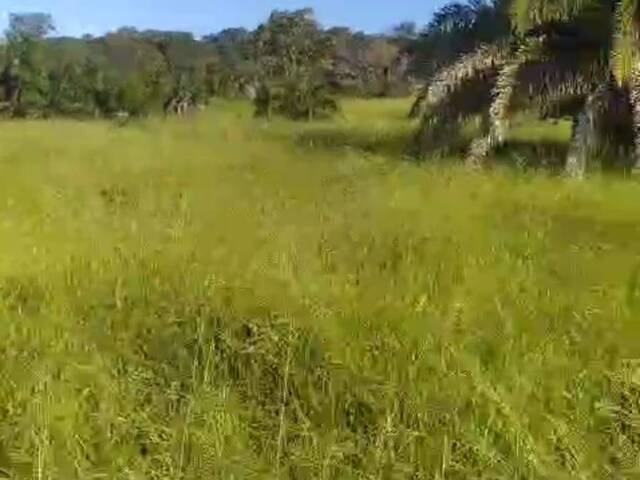 #3136 - Chácara para Venda em Itapuranga - GO